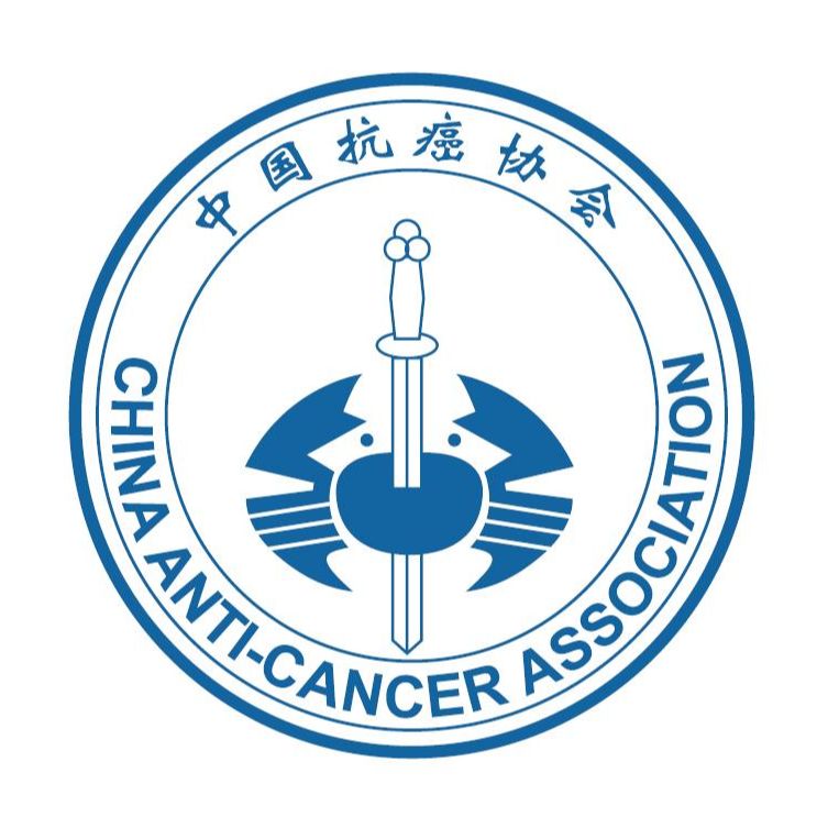 中欧体育